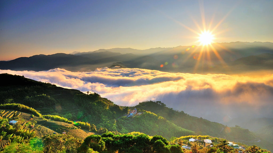 알리산 (阿里山)