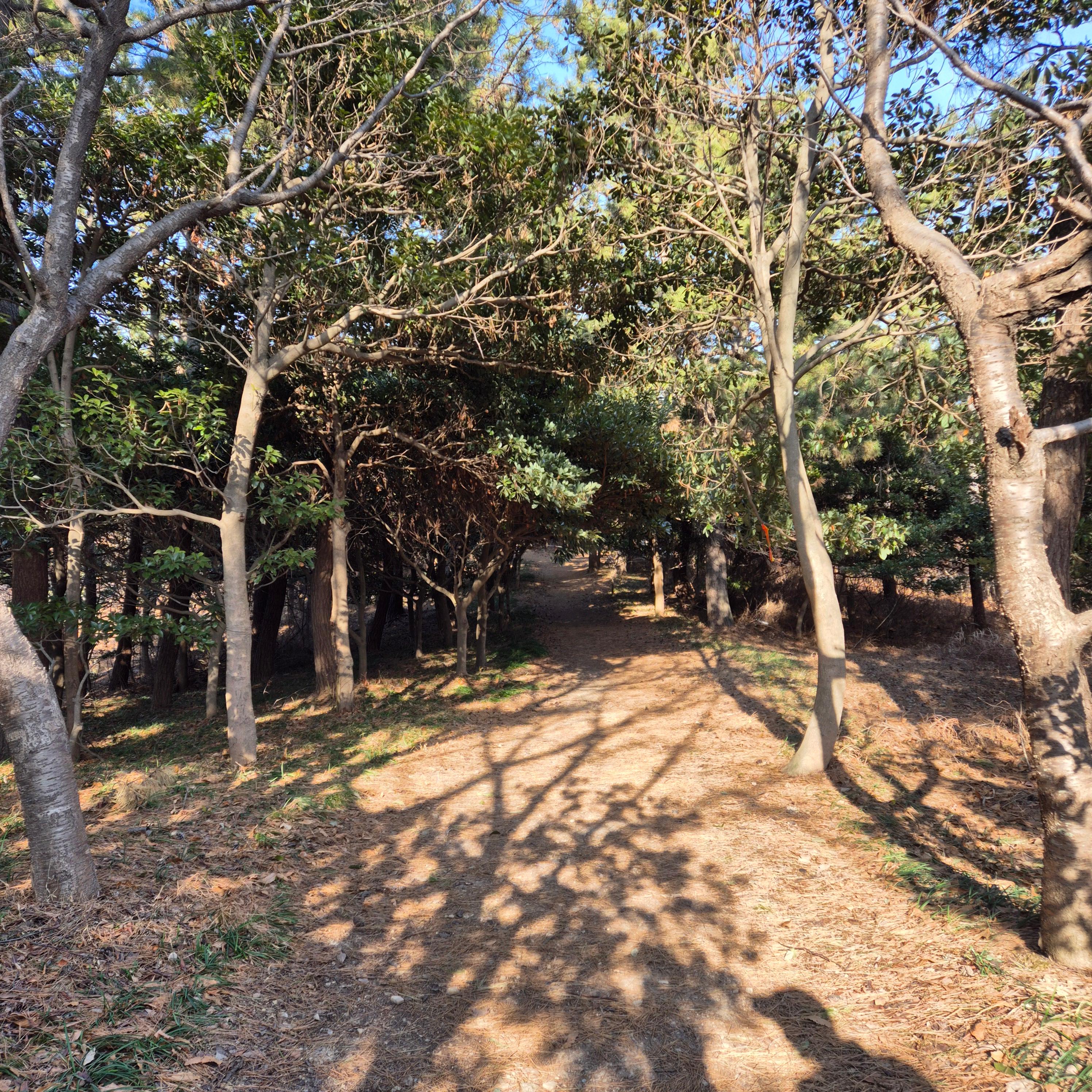 이석증, 메니에르, 돌발성 난청, 윙소리, 귀에서 윙 소리, 삐소리, 귀에서 삐소리, 귀먹먹함, 귀먹먹