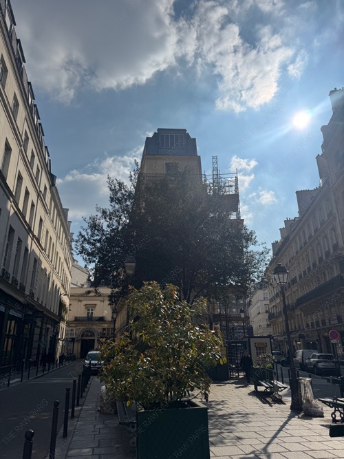 프랑스 파리 날씨 좋은 길거리