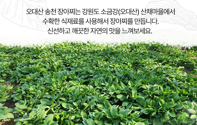 강릉-송천식당-장아찌-오대산-송천휴게소