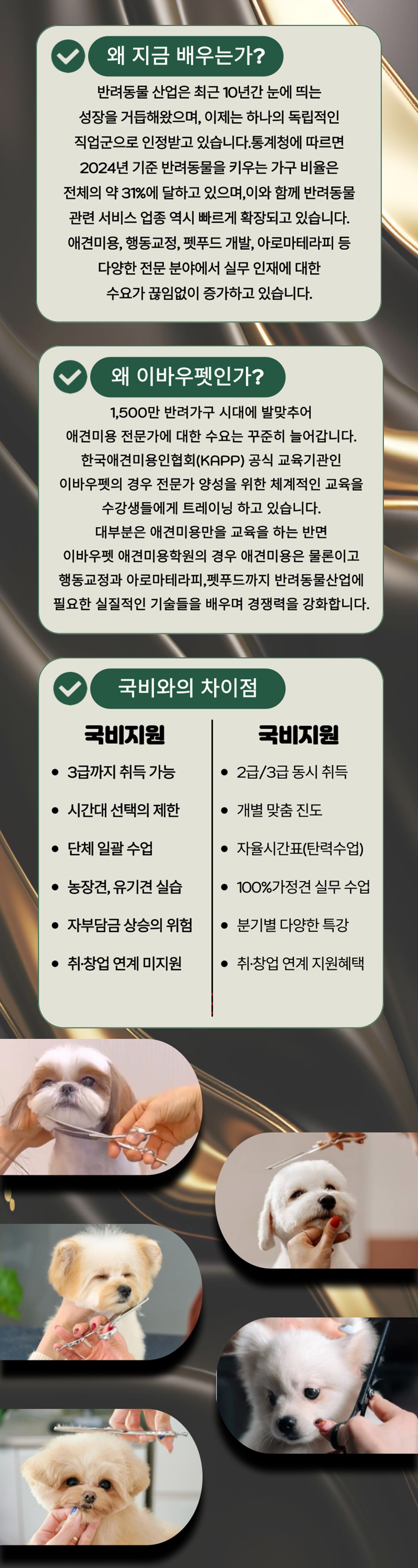 강서애견미용학원