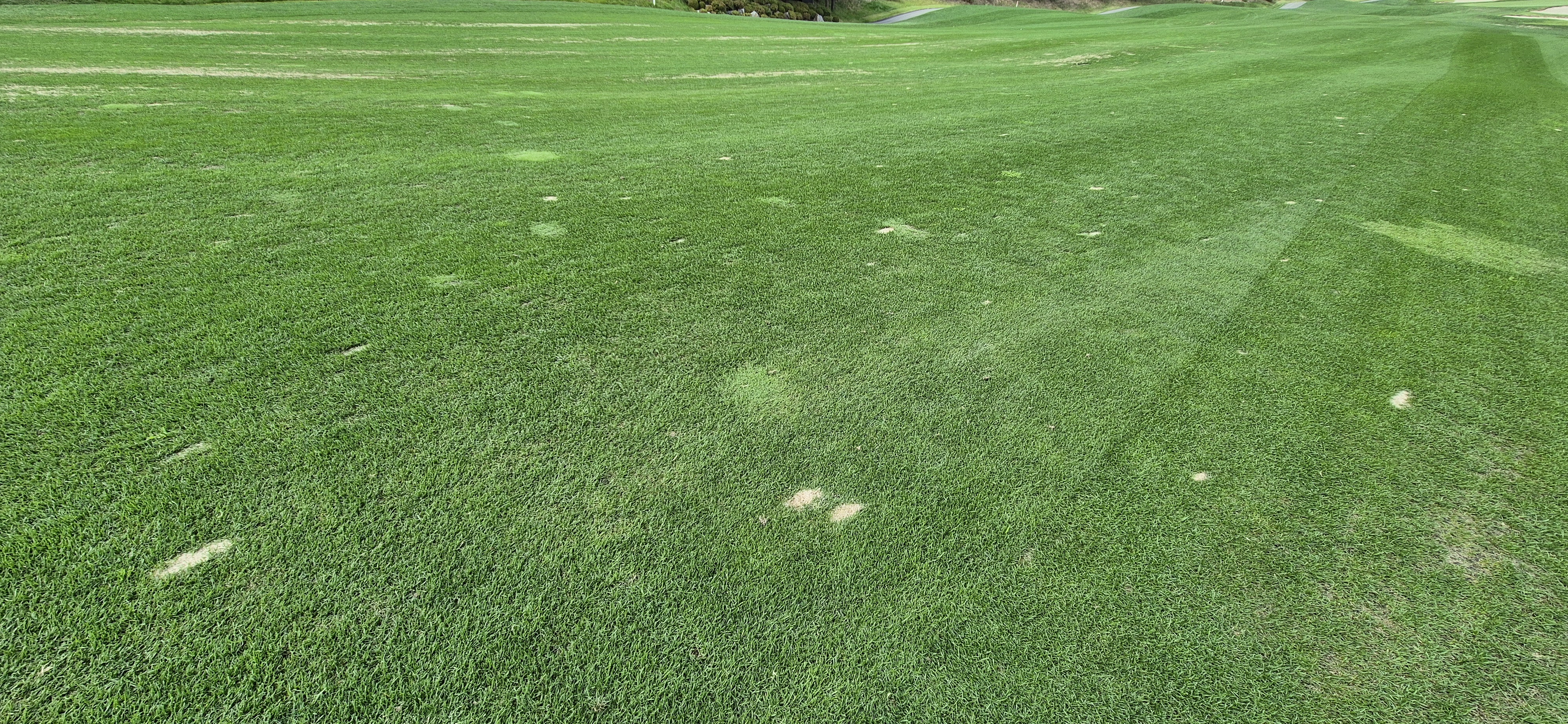 소노팰리체cc이스트