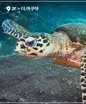 일산-아쿠아플라넷-할인-입장료-가격-운영시간