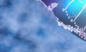 임영웅 아임 히어로 더 스타디움