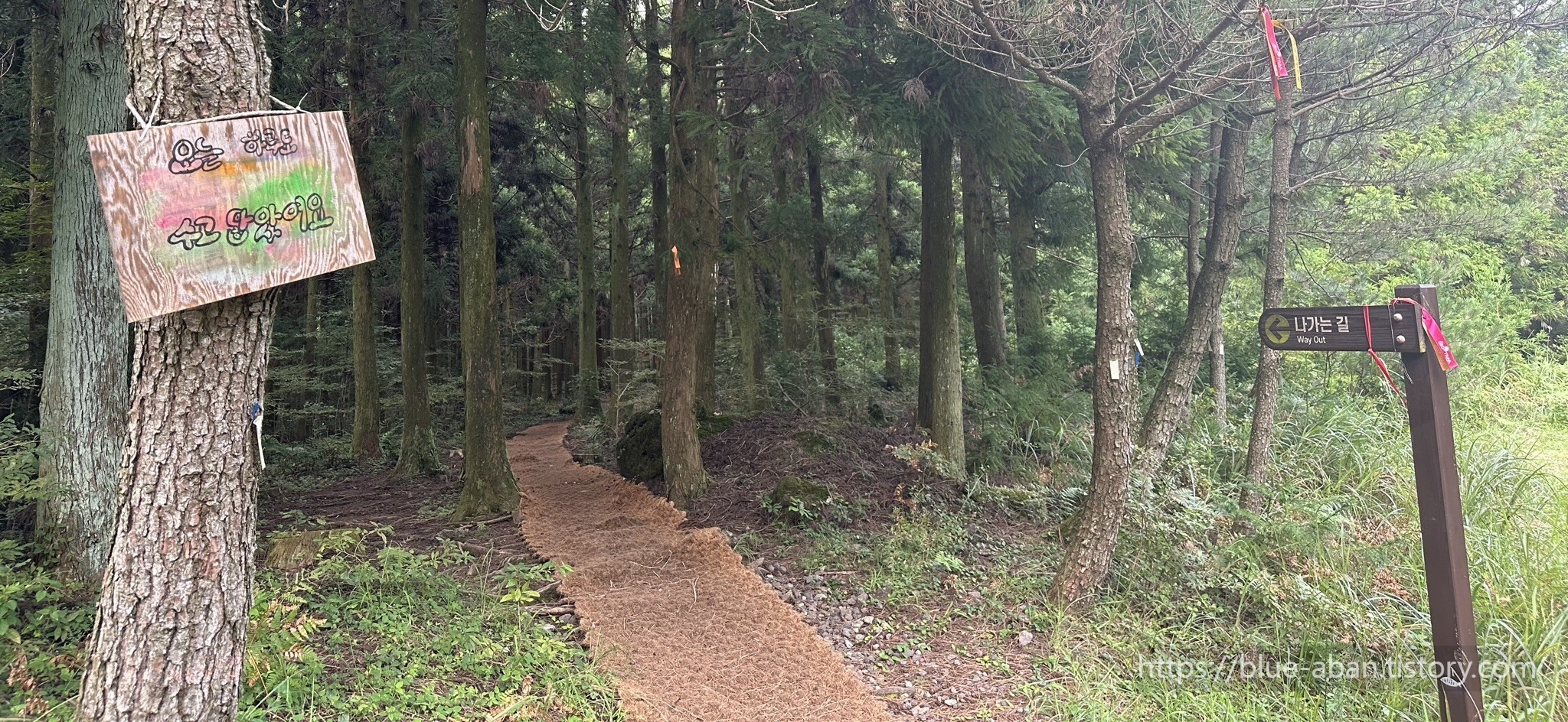 산책로