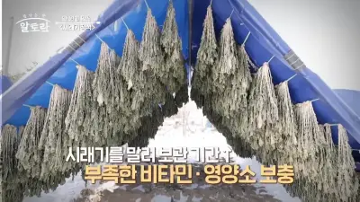 시래기-만드는 과정-시레기정식-맛집-영양소-알토란