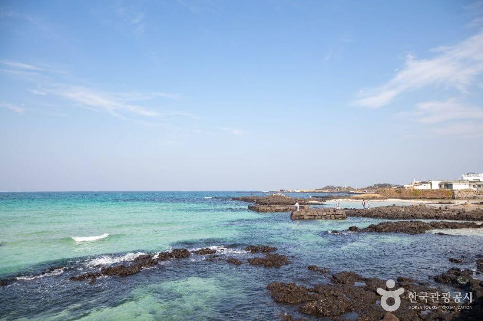 3월 국내 여행지 베스트 10