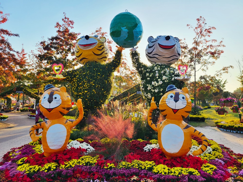 대전 유림공원 유성국화전시회