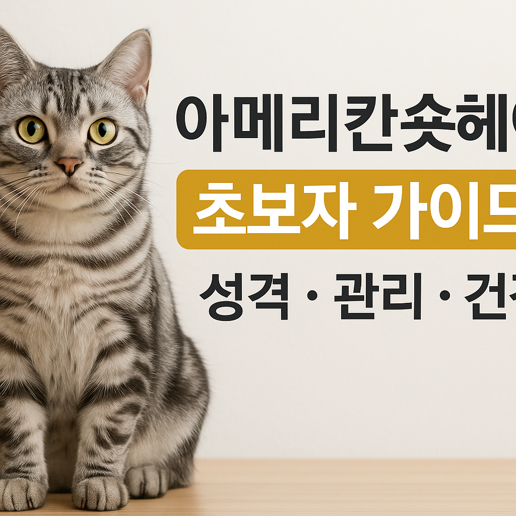 아메리칸숏헤어