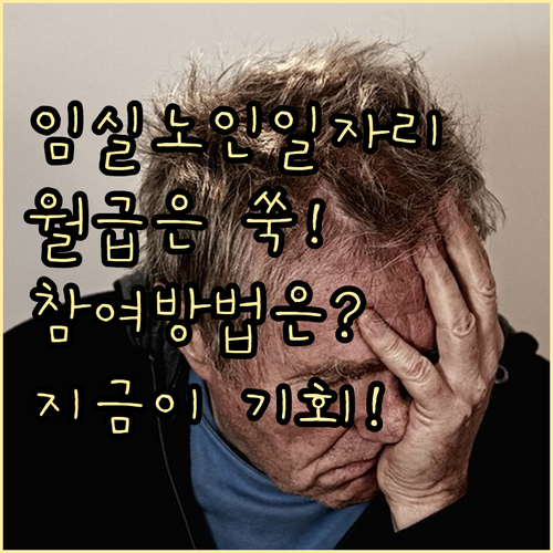 임실군 시니어클럽 노인 일자리 혜택과..