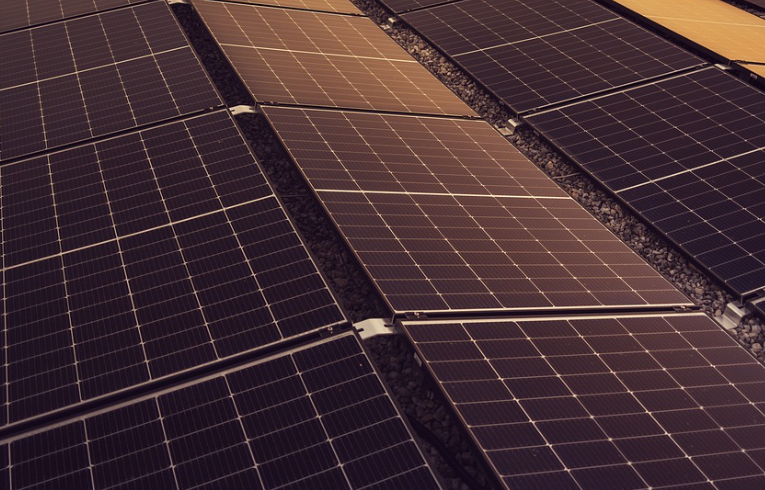 비트버니 오늘의 상식 퀴즈 정답 공개