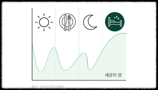 덴티오클린-특허받은 구강 유산균으로 입냄새 없애는 실전 꿀팁 TOP5!