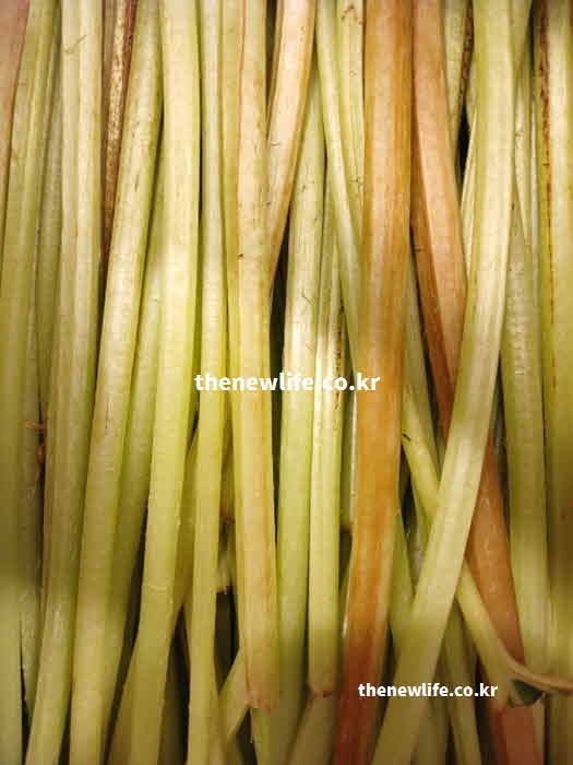 머위 효능 조리법 머위대