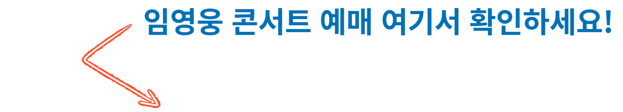 임영웅 콘서트 사진