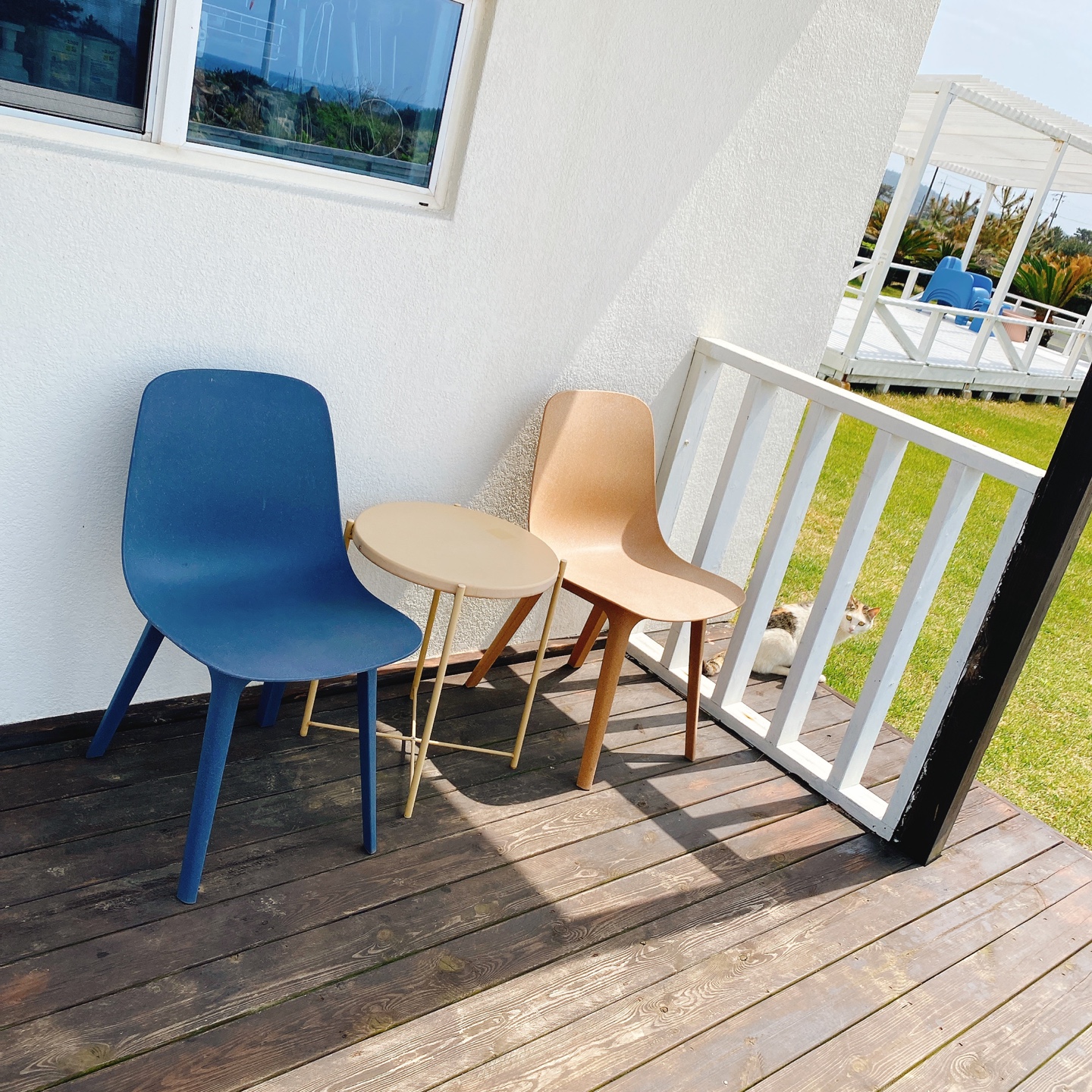 제주 한경 싱계물공원 바다목장 솜사탕 커피 그린구름 카페