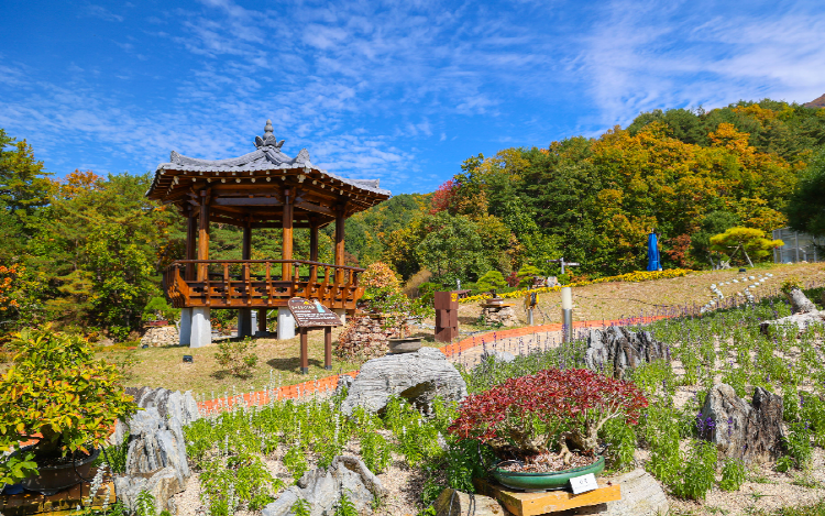 양구 수목원