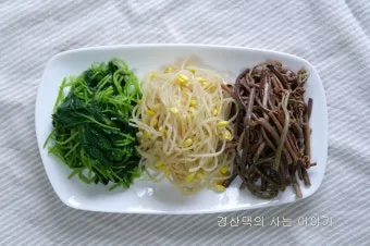 여름나물 종류 10가지 여름 제철 나물 반찬_3