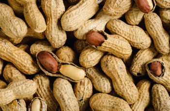 땅콩