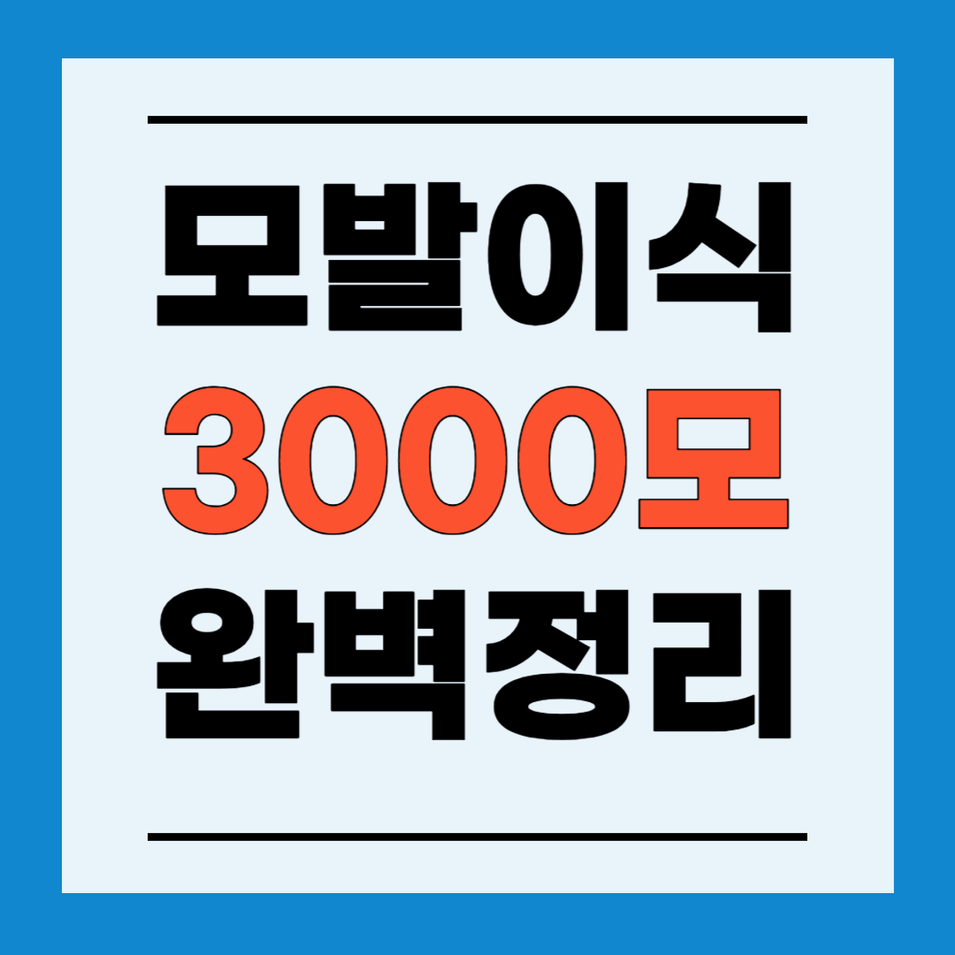 모발이식 3000모 비용 가격, 모발이식 병원추천