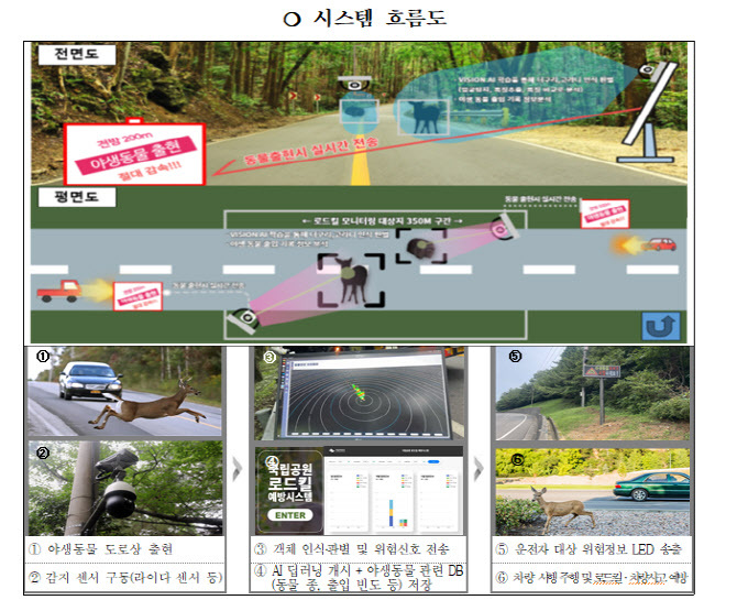 AI 로드킬 예방 시스템