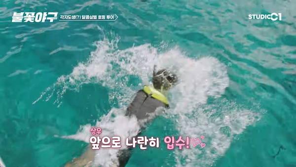 불꽃야구