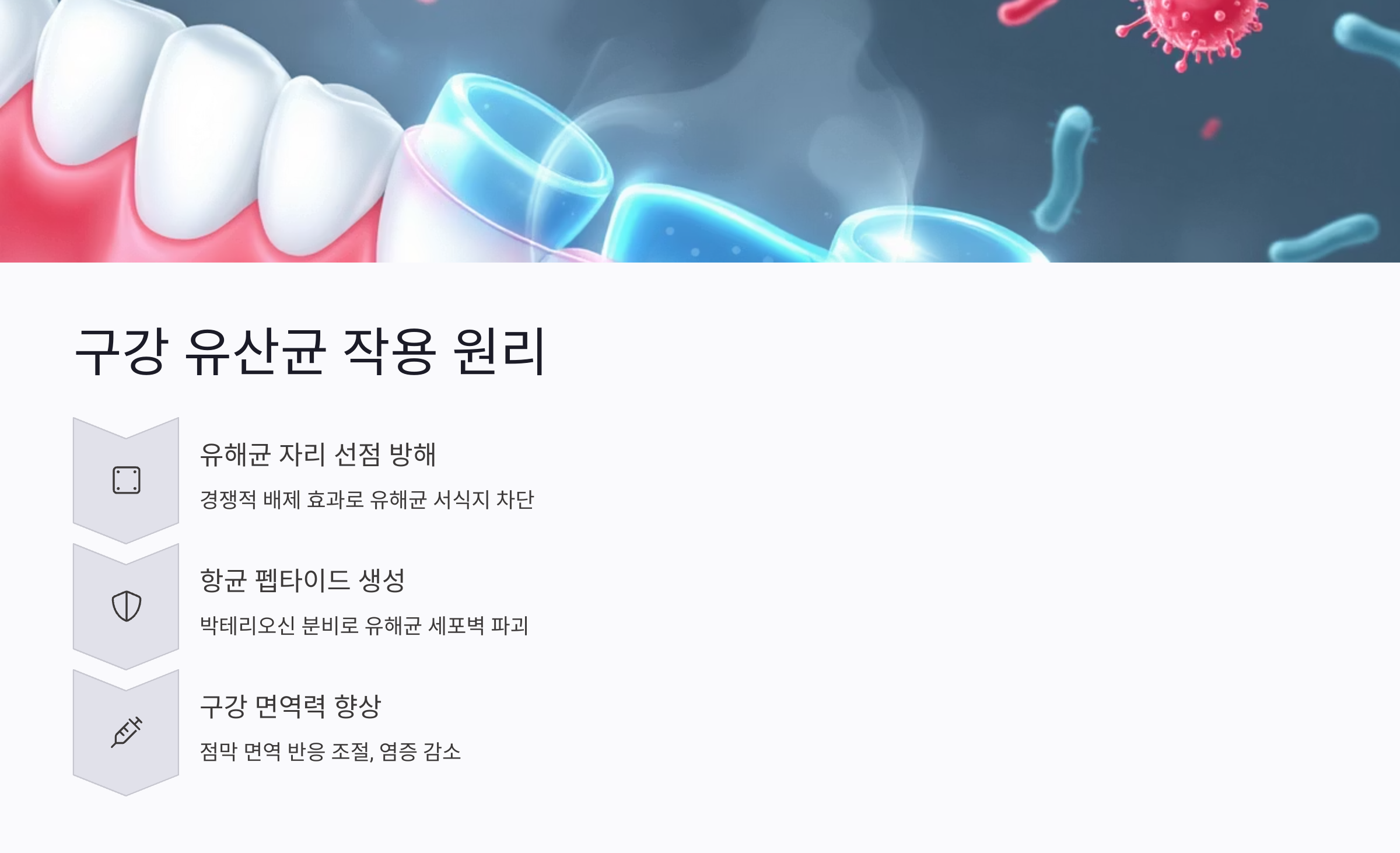 구강 유산균 작용 원리와 유해균 억제 방식