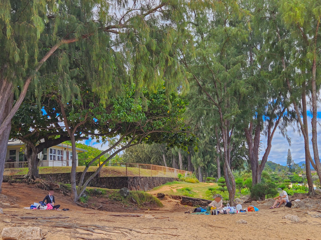 하와이 샥스코브 스노쿨링