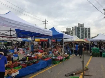 김포 5일장 날짜와 주차정보 먹거리를 안내_13