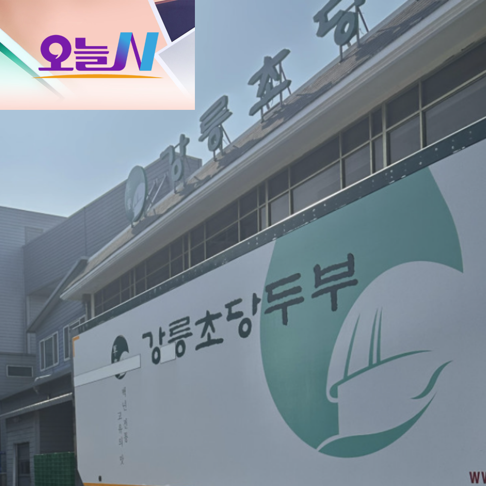 오늘N 오늘 대공개 강릉 초당두부 순두부 제조 공장