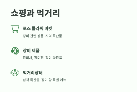 삼척 장미축제 일정 2025 11