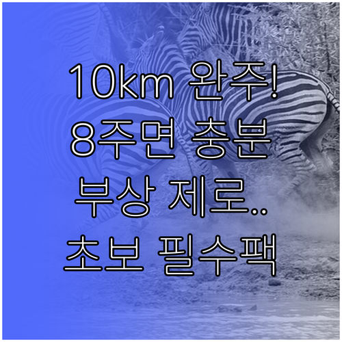 마라톤 10km 초보자를 위한 8주 ..