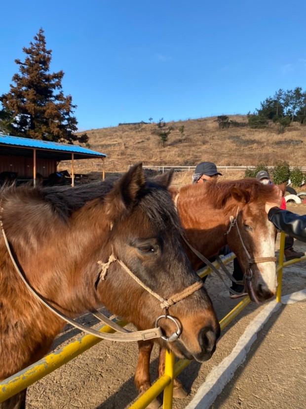제주도 가볼 만한 곳 10곳