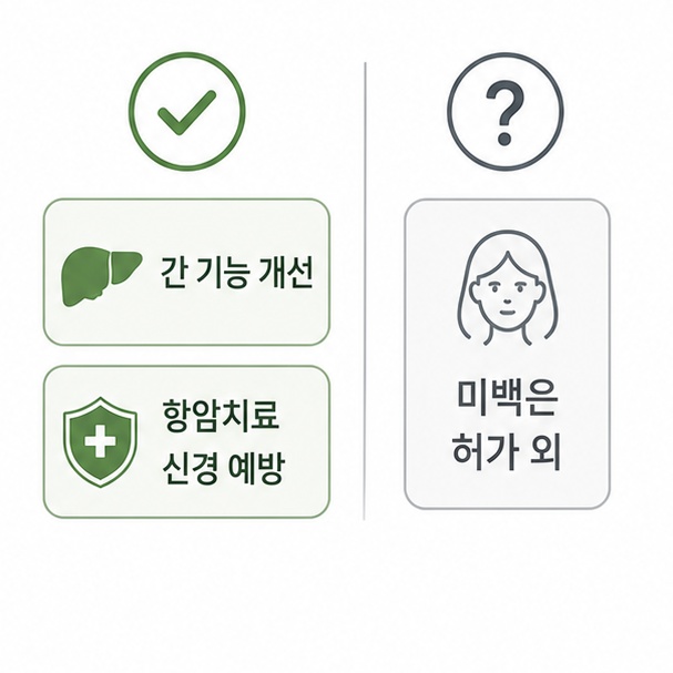 글루타치온 허가 사용 범위 비교