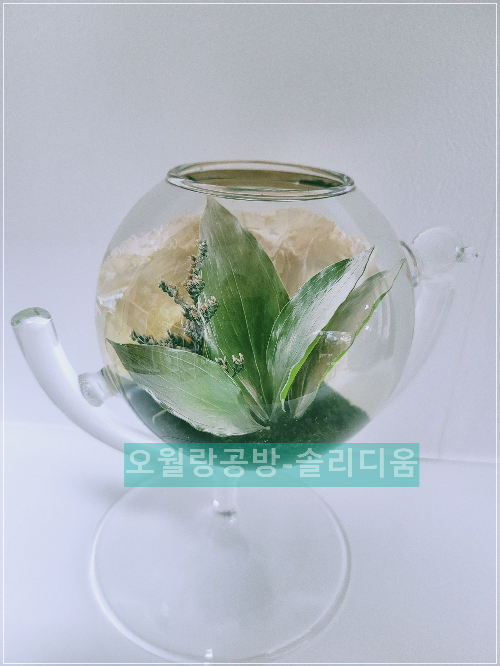 지구본모양
솔리디움
오월랑공방