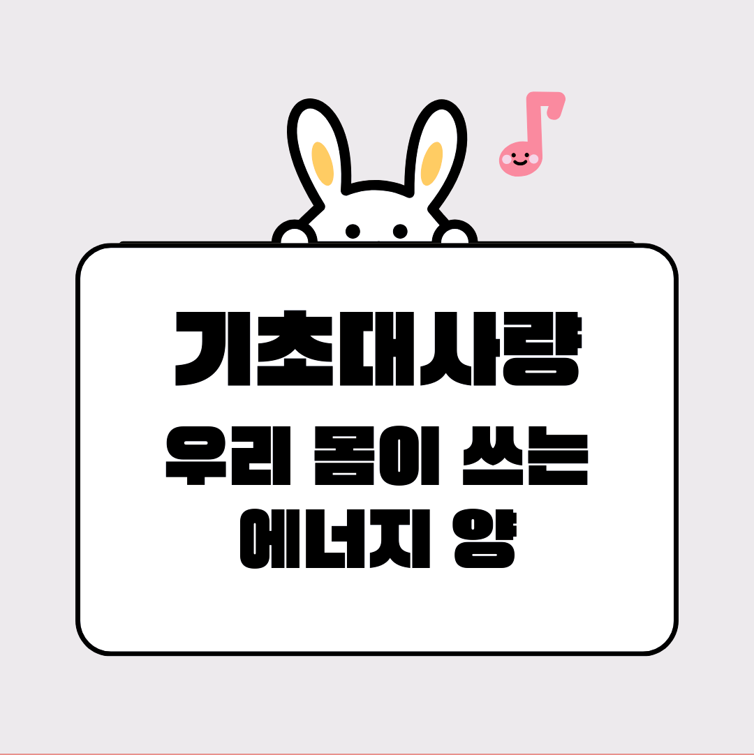 기초대사량이 높다면 가만히 있어도 칼로리를 태우게 돼요!