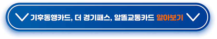 기후동행카드, 더 경기패스, 알똘교통카드 알아보기