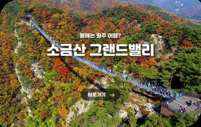2025/2026 오크밸리 스키장 시즌권&middot;리프트권 완벽 가이드(개장일 확정)