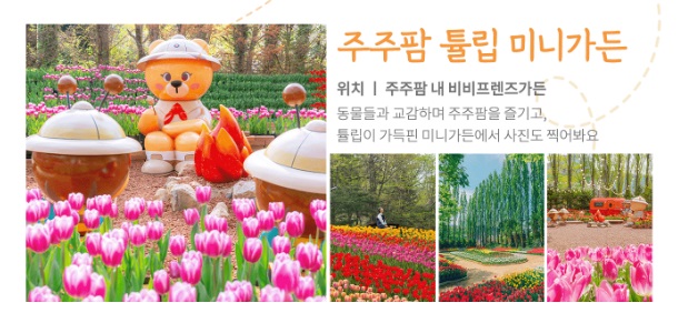 대구 도심 속 튤립 천국! 이월드 튤립 트래블 놓치지 마세요