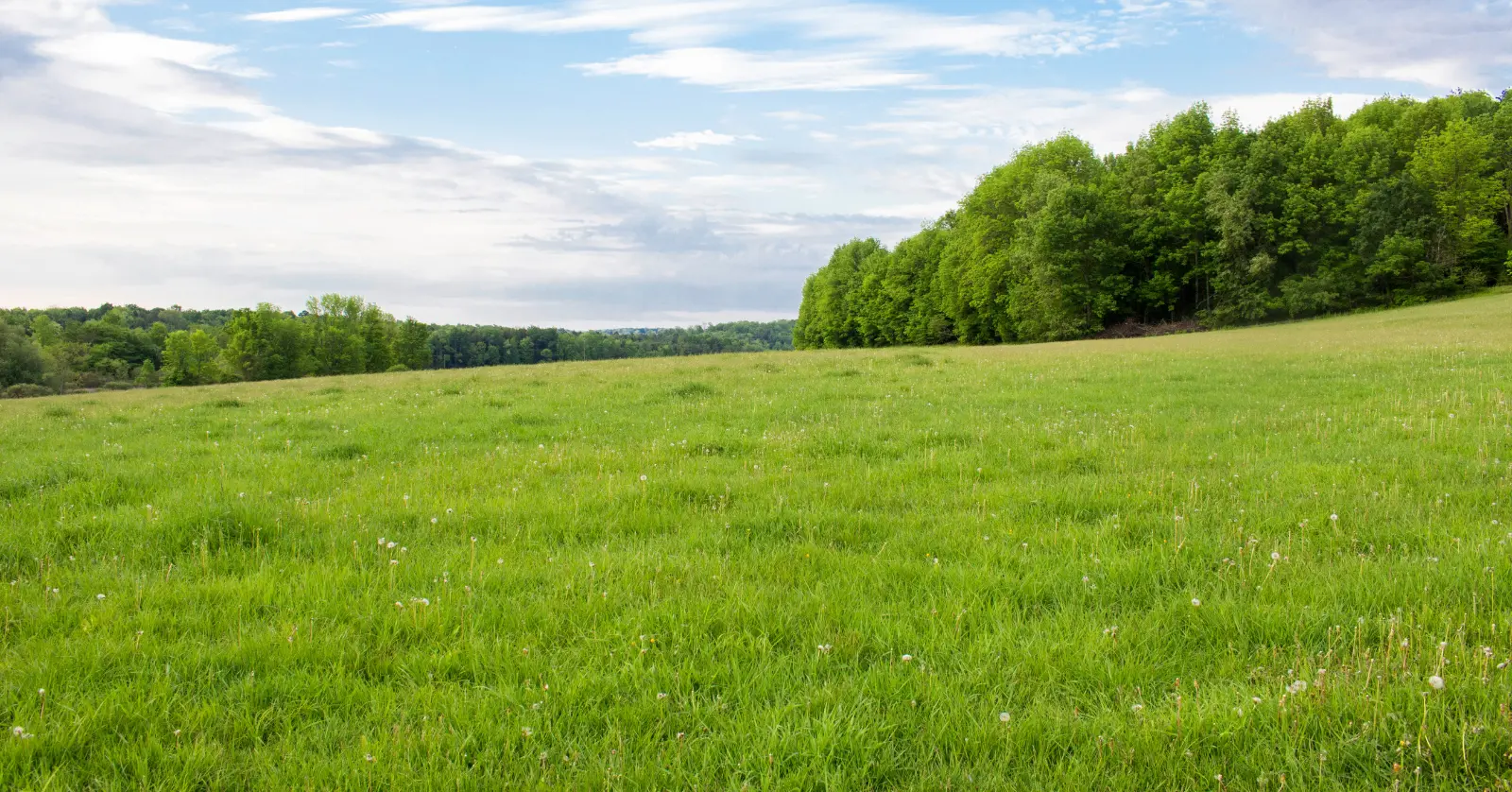 공시지가란 무엇인가? 기준가의 개념과 목적