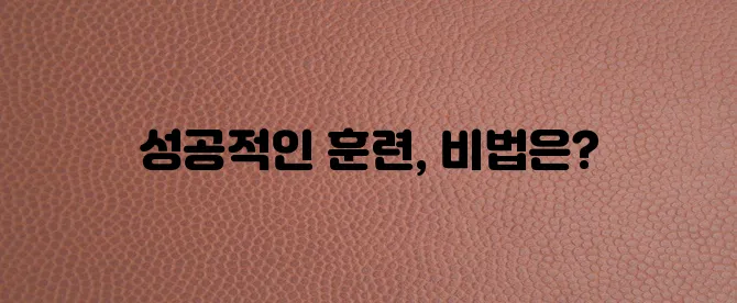 강아지 배변 훈련 반려견과 깨끗한 생활을 위한 여정 꼭 성공하세요!