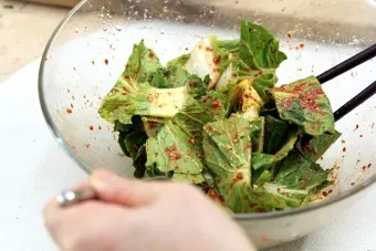 겉절이 맛있게 담그는 법 겉절이 김치 황금 레시피_19