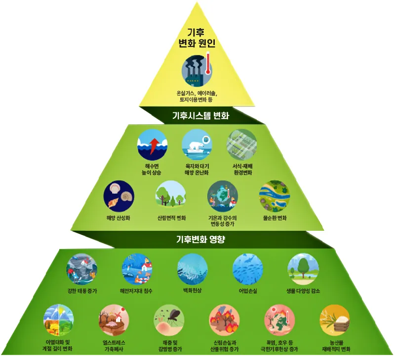 기후변화의 영향