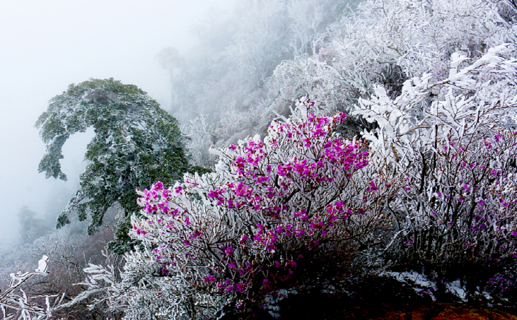 지리산 등산코스