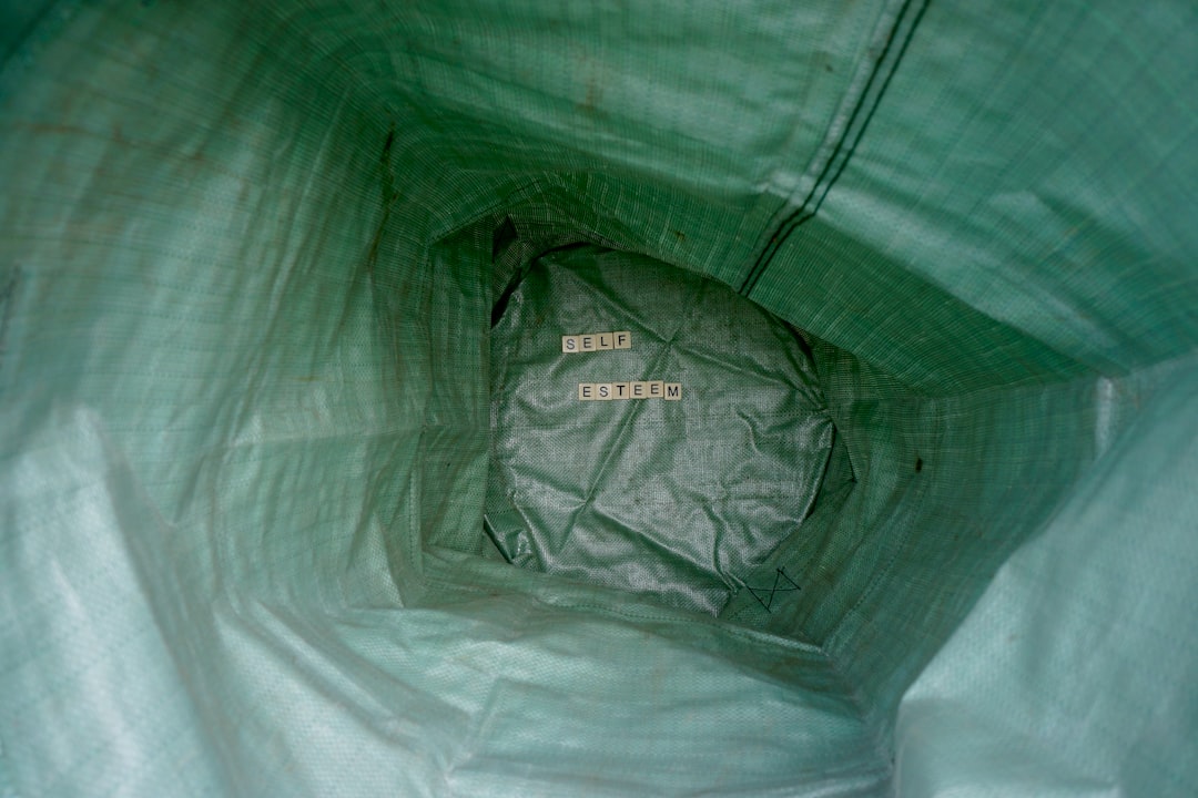 Delivery bag.