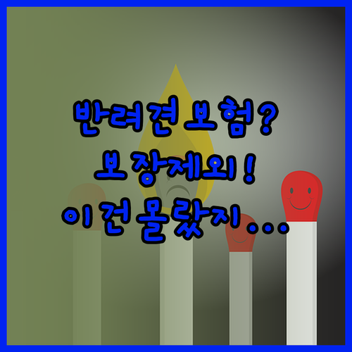 반려견 보험 가입 전 꼭 알아야 할 ..