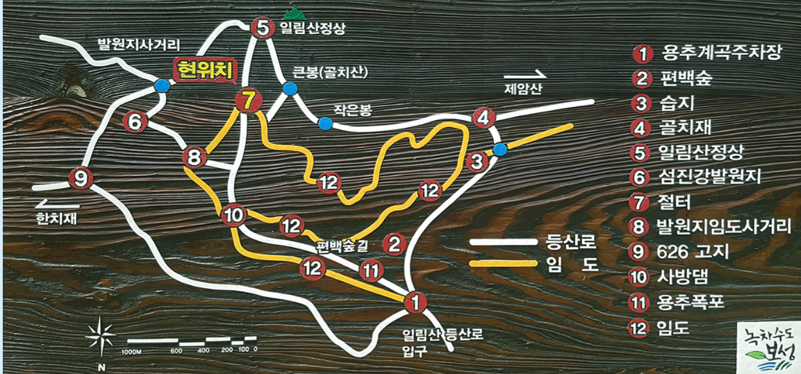 일림산 철쭉 축제 개화상황