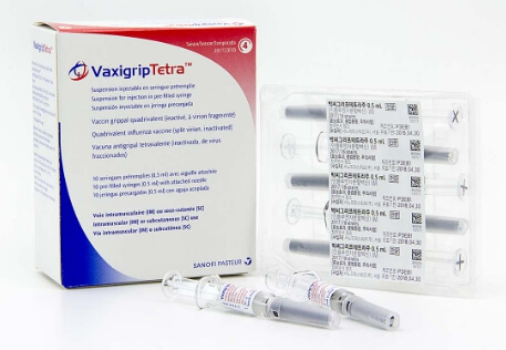 박씨그리프테트라