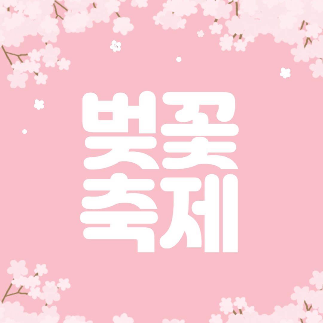 벚꽃 축제
