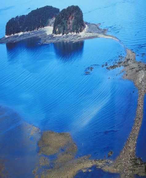 보령 무창포 바닷길