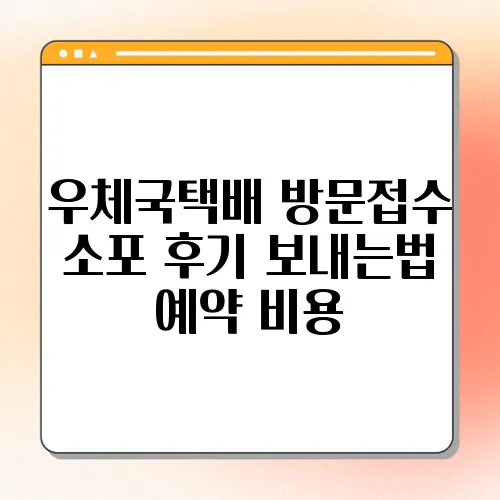 우체국택배 방문접수 소포 후기 보내는법 예약 비용